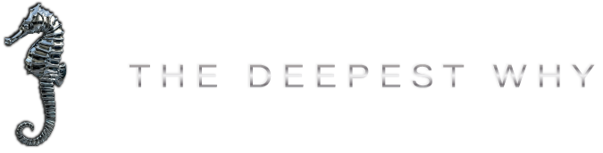 The Deepest Why logo