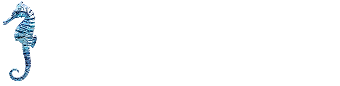 The Deepest Why logo