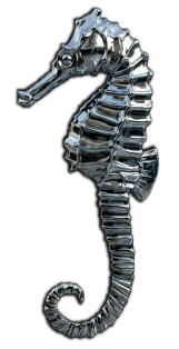 The Deepest Why logo